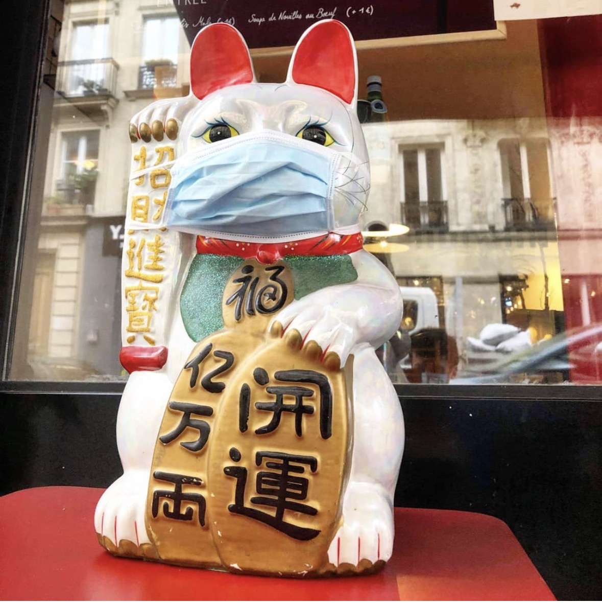 Chat porte-bonheur masqué dans la vitrine d'Atelier Mala